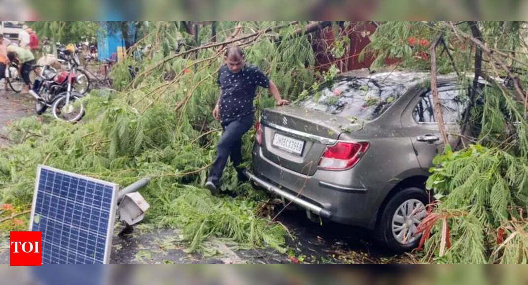 Lightning kills 1 in Palamu, trees uprooted in Giridih | Ranchi News