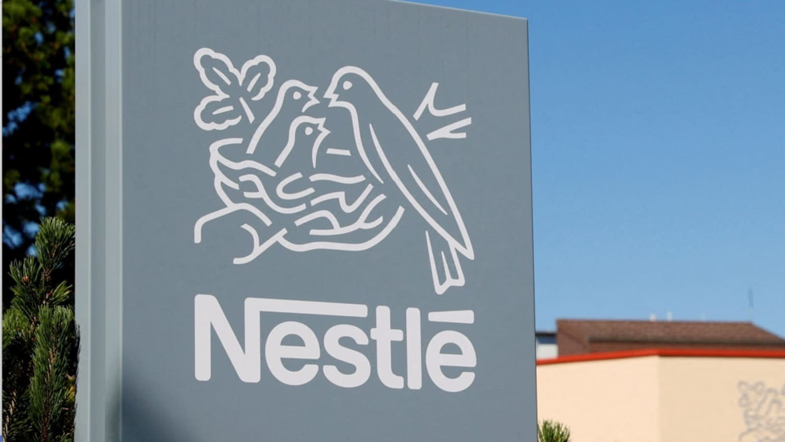 Nestle India share price edges higher as LIC raises stake in the packaged foods company